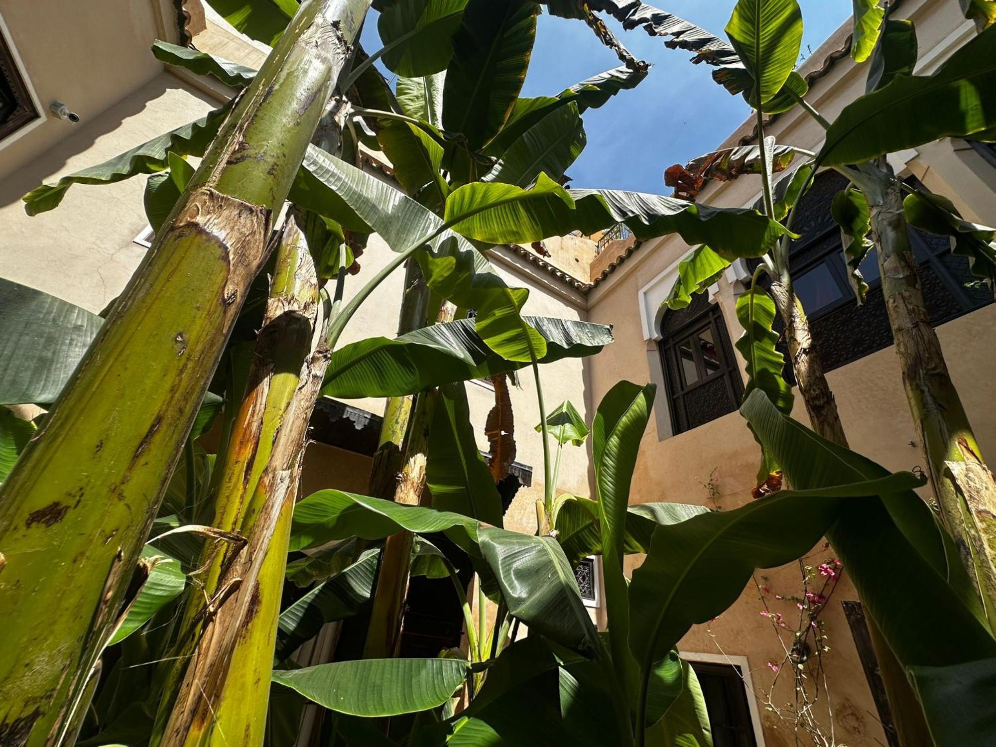 Riad Bamileke Marrakesz Zewnętrze zdjęcie